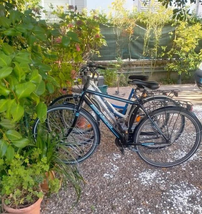 Just Outside The Wall: Free A/C, Bikes And Wifi Lucca Buitenkant foto